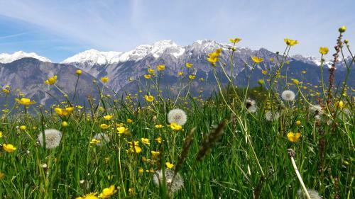 Apartments Feichtner / Tulfes / Tirol