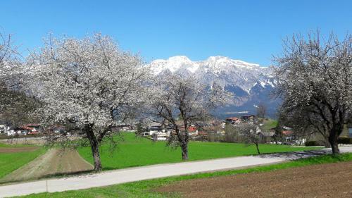 Apartments Feichtner / Tulfes / Tirol