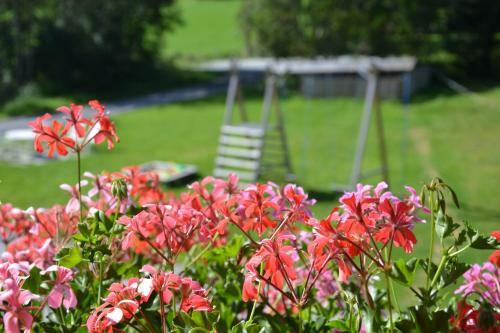 Apartamento Holiday-appartements