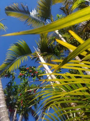 Rede Bonnel Motel E Pousada Tropical