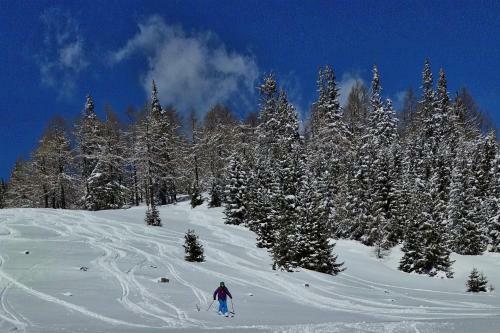 Bed & Breakfast Chalet Mur