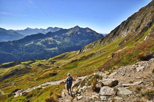 Bed & Breakfast Chalet Mur