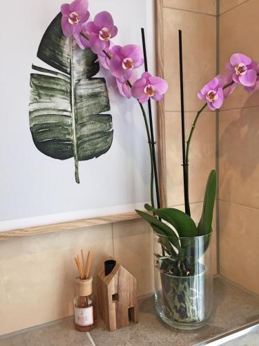 Amsterdam 4 Holiday Bed&breakfast