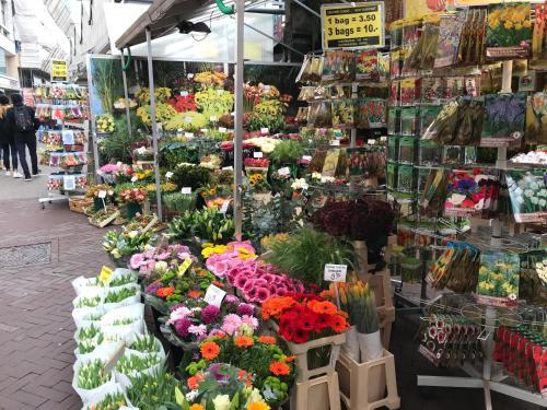 Amsterdam 4 Holiday Bed&breakfast