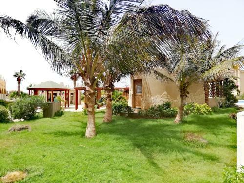 Aparthotel Tropical