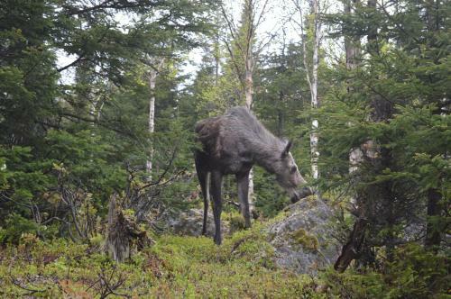 Bed & Breakfast La Maison Entre Mer Montagnes