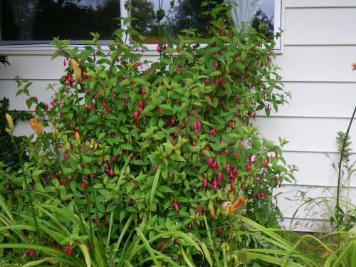 Apartamento Kvarno Guest House