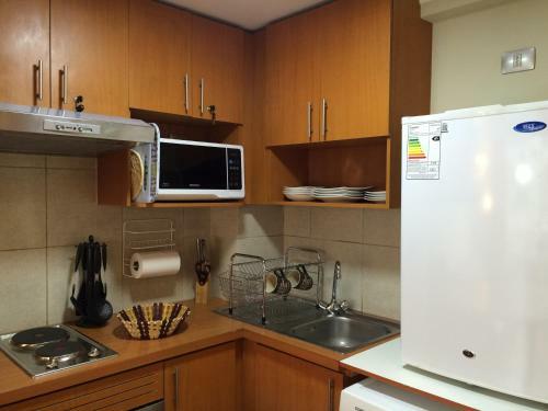 Apartamento Santiago Downtown Bellavista 165