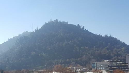 Apartamento Santiago Downtown Bellavista 165
