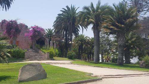 Apartamento Santiago Downtown Bellavista 165