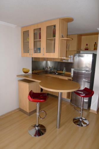 Apartamento Chilean Suites Providencia