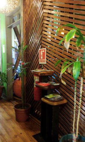 Albergue Green Secret Hostal