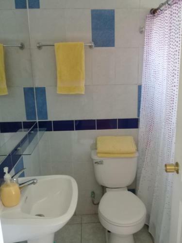 Hotel Plaza Concon