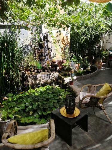 Albergue El Gallo Con Tacos