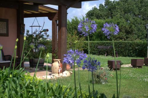 Bed & Breakfast Airone Country House