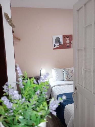 Hotel Maceo 55 - Colonial Inn