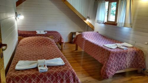 Adventure Bed And Bike