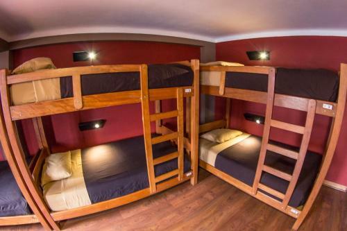Albergue Wild Rover La Paz