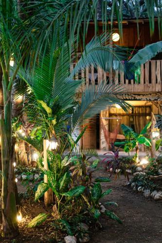 Albergue Casa Del Mar Surf Destiny