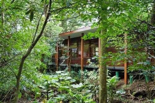 Hotel Jaguarundi Lodge - Monteverde