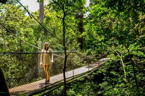 Hotel Jaguarundi Lodge - Monteverde