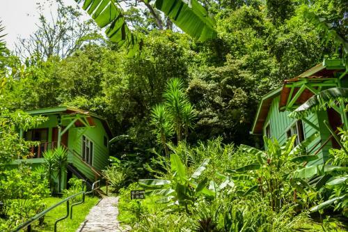 Hotel Jaguarundi Lodge - Monteverde