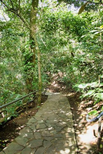 Hotel Jaguarundi Lodge - Monteverde
