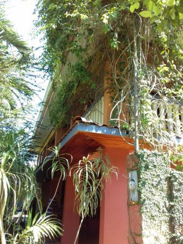 Bed & Breakfast Hotel Arenas De Osa