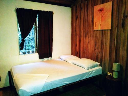 Hostal Toritos Guest Room