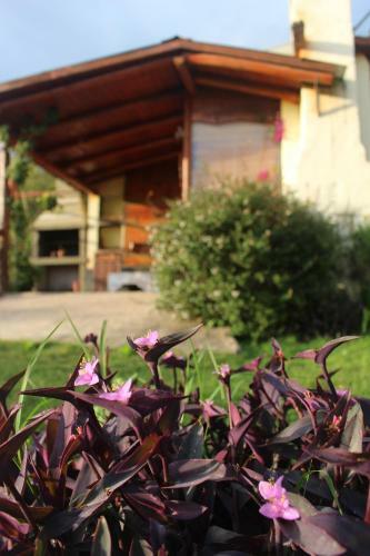 Agroturismo Cabatanti