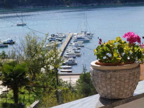 Apartments Villa Jagoda