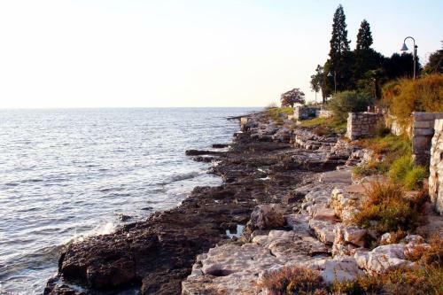 Apartments With A Parking Space Karigador (novigrad) - 2534