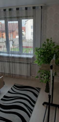 Hostal Vladimir Guest House