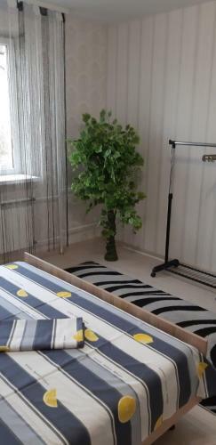 Hostal Vladimir Guest House
