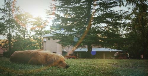 Bed & Breakfast The Hostelhouse Centro. Casa De Hu�spedes.