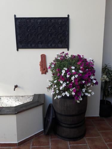 Hostal Hotel Sebastian U Hoffera