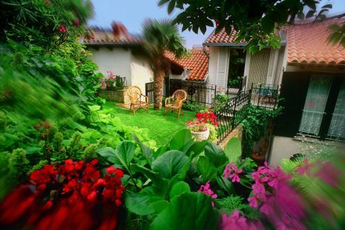 Green Oasis Apartments Jg
