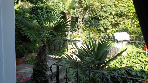 Green Oasis Apartments Jg
