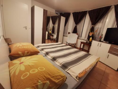 Apartments Violeta