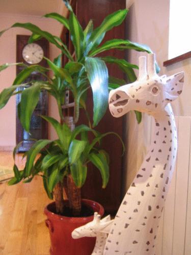 Hotel Posada Mar De Santillana