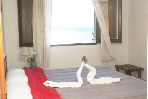 Apartmentos Nort