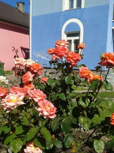House In The Garden