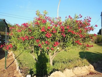 Hotel Quinta Da Balaia