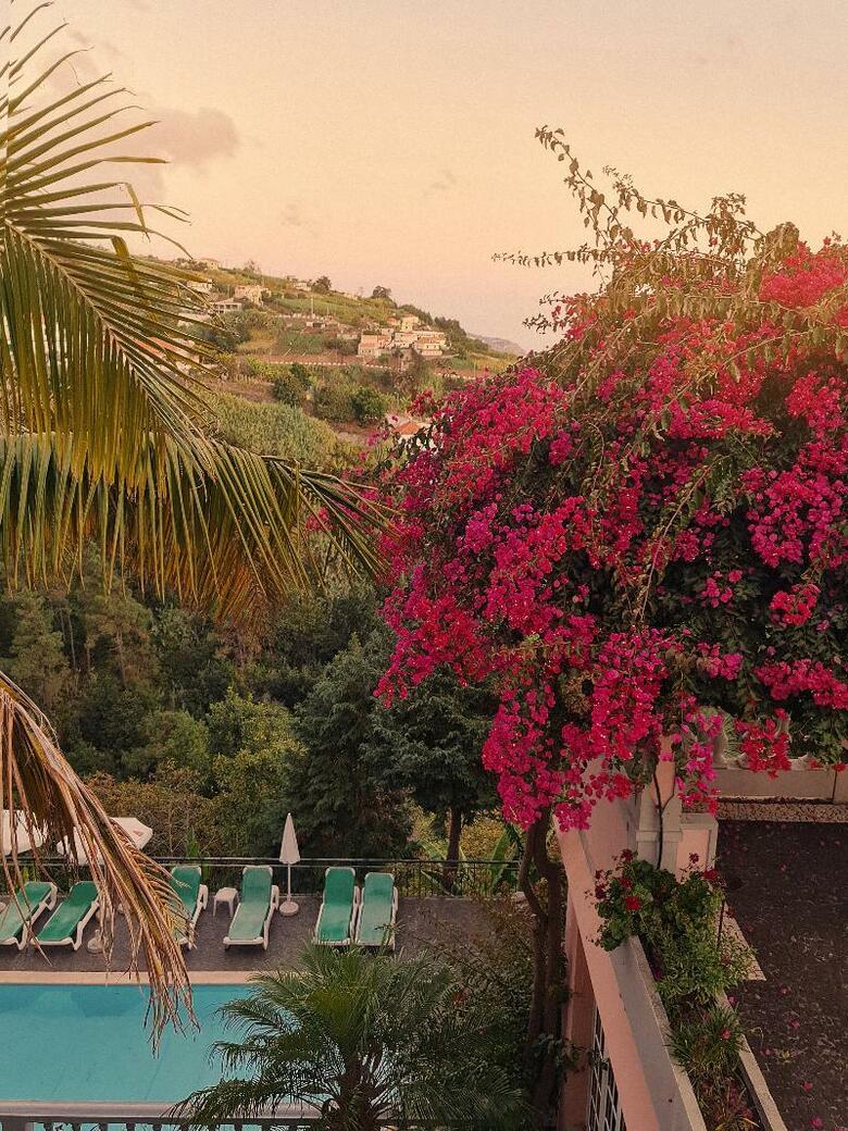 Hotel Quinta Do Alto De S�o Jo�o