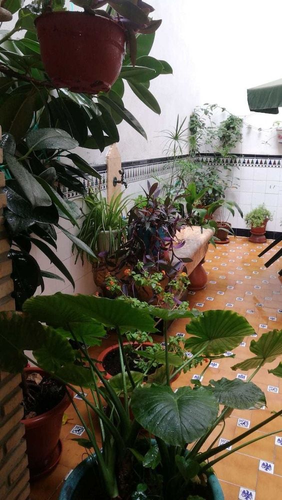 Agroturismo Casa Camino Al Castillo