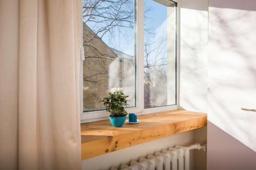 Hostal Marta Accommodation