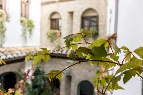 Apartamento Riad Puertas Del Albaic�n