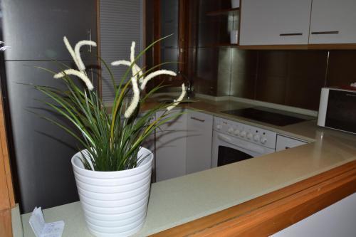 Apartamentos Tur�sticos Pacios