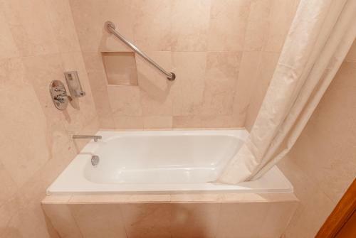 Hotel City Garden Suites