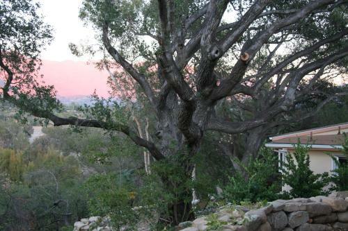 Bed & Breakfast The Ojai Retreat
